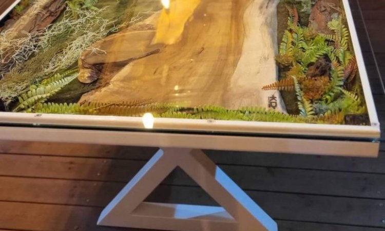 Table vegetale